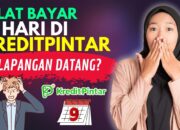 Risiko Galbay Pinjol Kredit Pintar, Telat 9 Hari DC Lapangan Datang ke Rumah, Begini Solusinya
